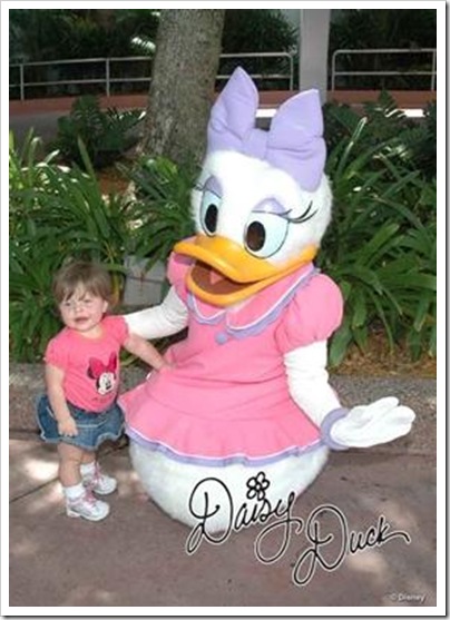 daisy4